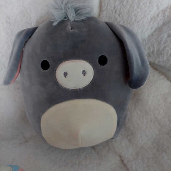 FREE SHIPPING💫 12 squishmallow jason! Will come